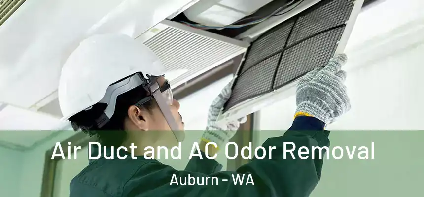 Air Duct and AC Odor Removal Auburn - WA