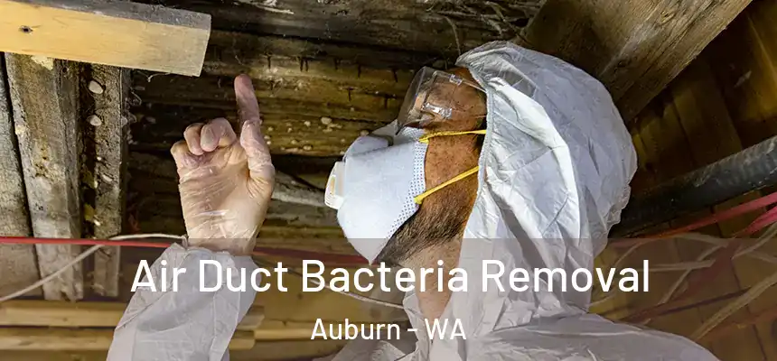 Air Duct Bacteria Removal Auburn - WA
