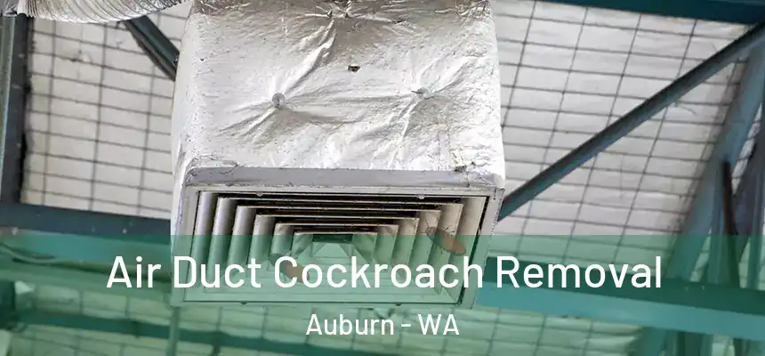 Air Duct Cockroach Removal Auburn - WA