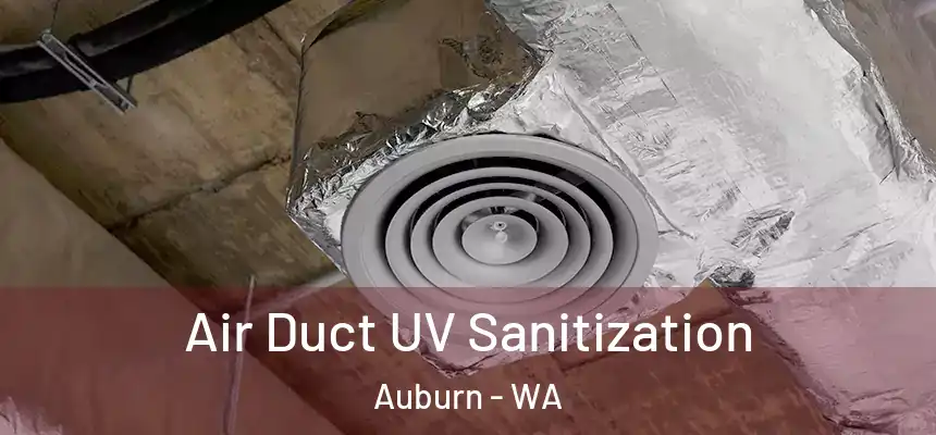 Air Duct UV Sanitization Auburn - WA