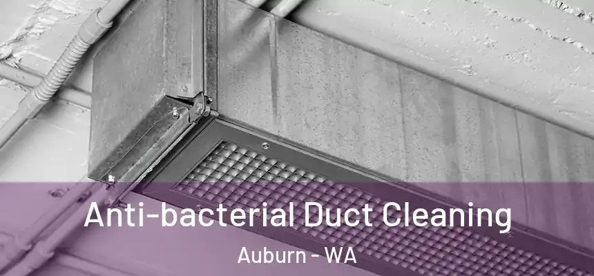 Anti-bacterial Duct Cleaning Auburn - WA