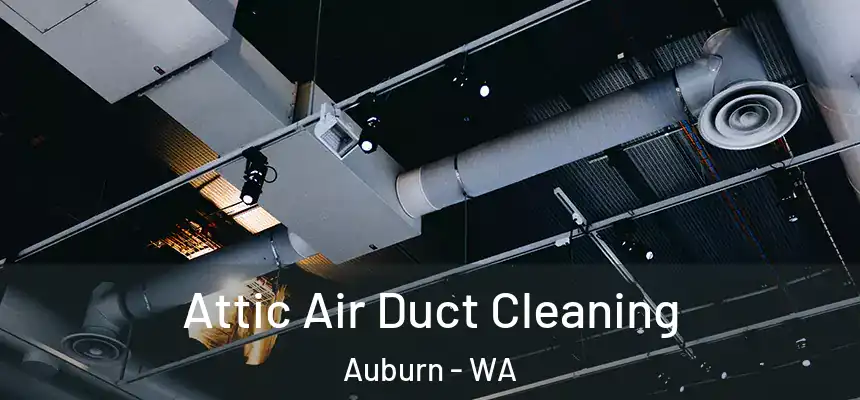 Attic Air Duct Cleaning Auburn - WA