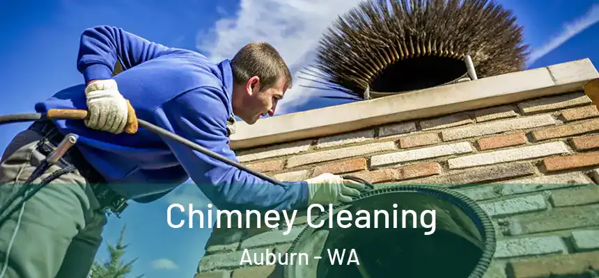 Chimney Cleaning Auburn - WA