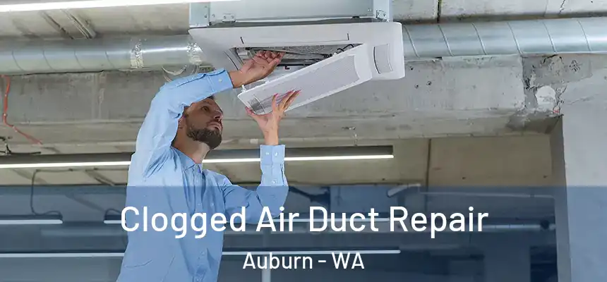 Clogged Air Duct Repair Auburn - WA