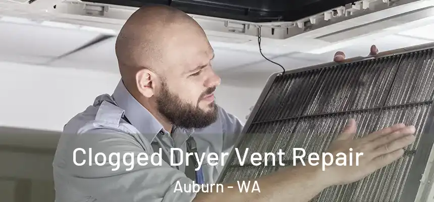Clogged Dryer Vent Repair Auburn - WA