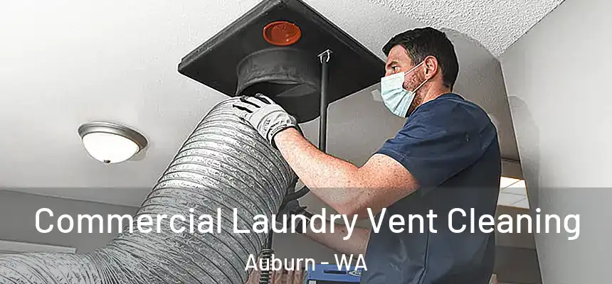 Commercial Laundry Vent Cleaning Auburn - WA