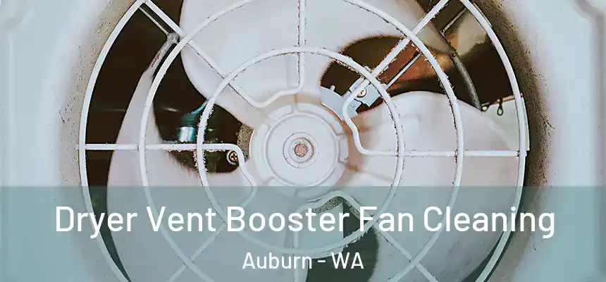Dryer Vent Booster Fan Cleaning Auburn - WA