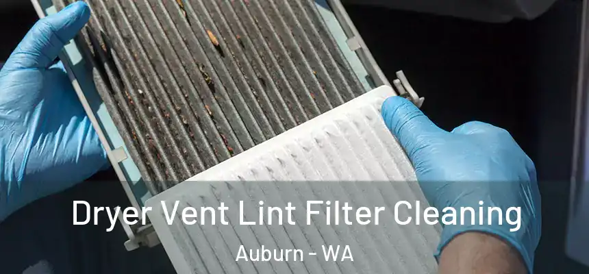 Dryer Vent Lint Filter Cleaning Auburn - WA