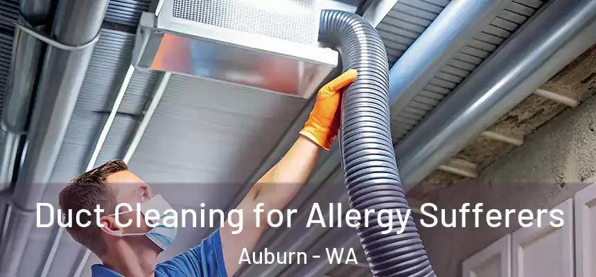 Duct Cleaning for Allergy Sufferers Auburn - WA