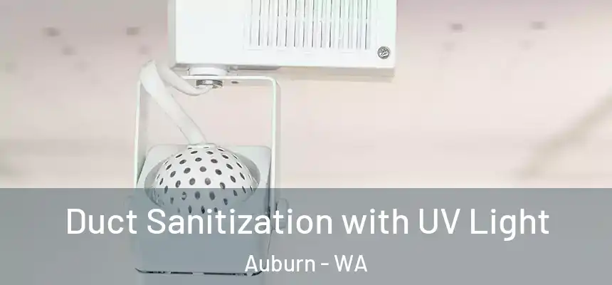 Duct Sanitization with UV Light Auburn - WA