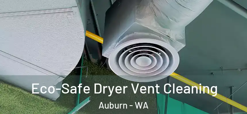 Eco-Safe Dryer Vent Cleaning Auburn - WA