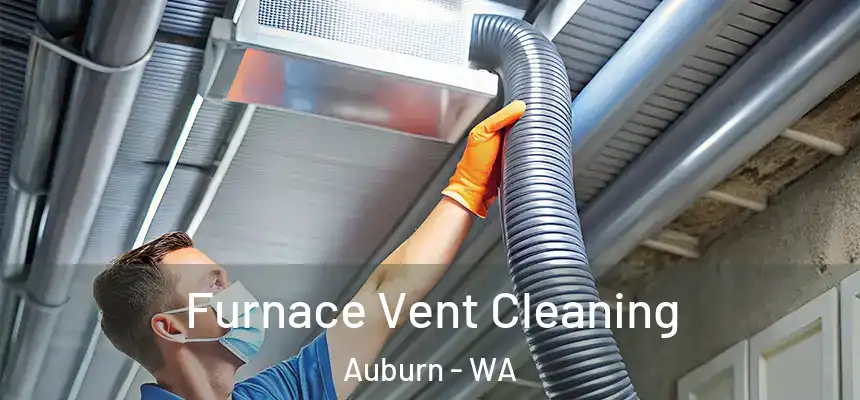 Furnace Vent Cleaning Auburn - WA