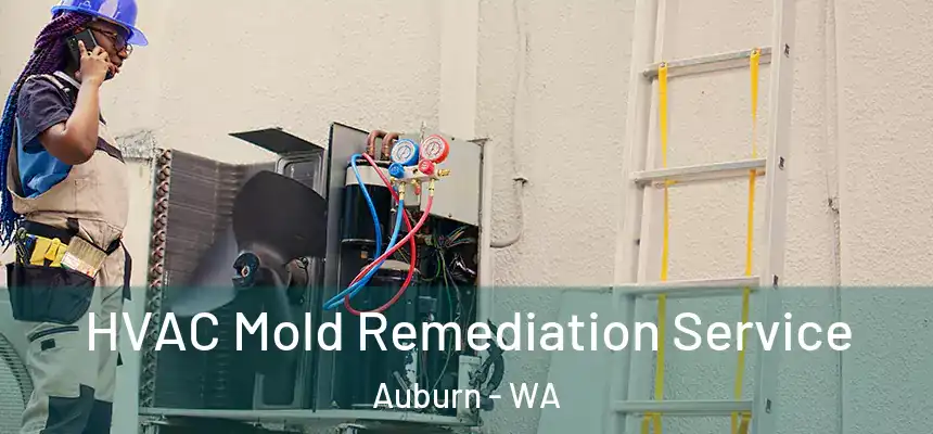 HVAC Mold Remediation Service Auburn - WA