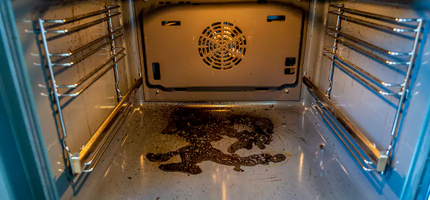 Our Dryer Vent Mold Cleaning Services in Auburn, WA