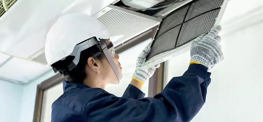 Our Mold & Mildew Removal from Air Ducts Services in Auburn, WA