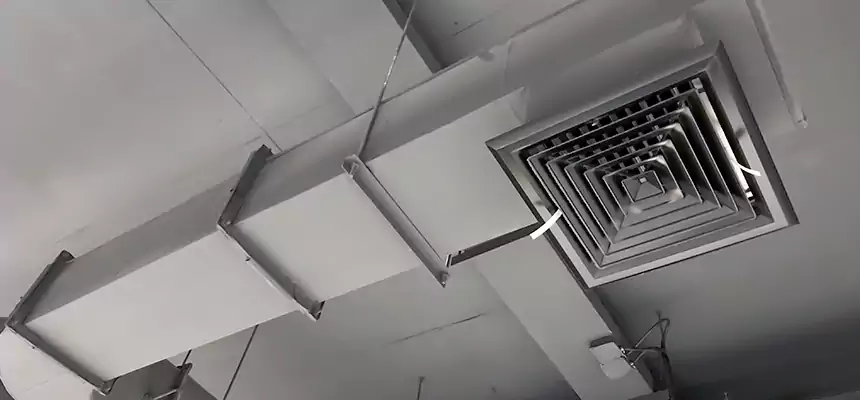 Our Pest Removal From Ducts Services in Auburn, WA