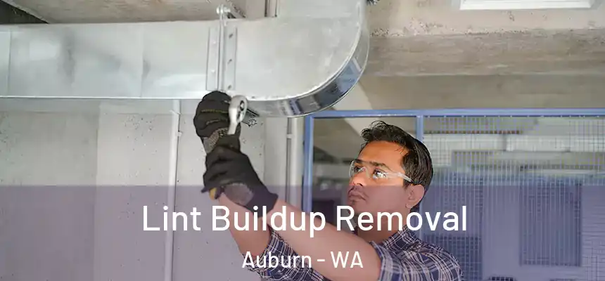 Lint Buildup Removal Auburn - WA