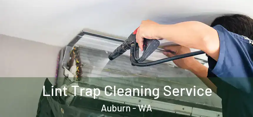 Lint Trap Cleaning Service Auburn - WA