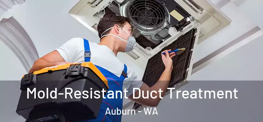 Mold-Resistant Duct Treatment Auburn - WA