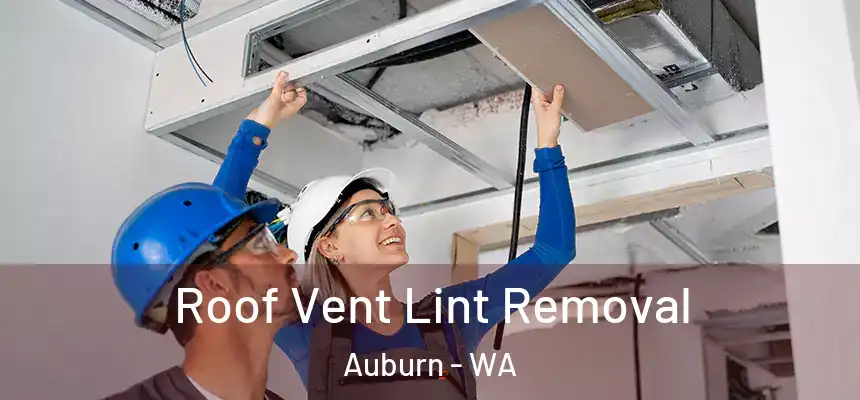 Roof Vent Lint Removal Auburn - WA