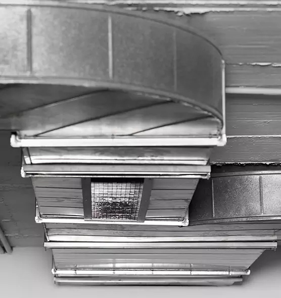 Professional Air Duct Pet Hair Removal in Auburn, WA