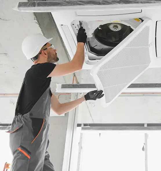 About Air Duct Rodent Removal in Auburn, WA