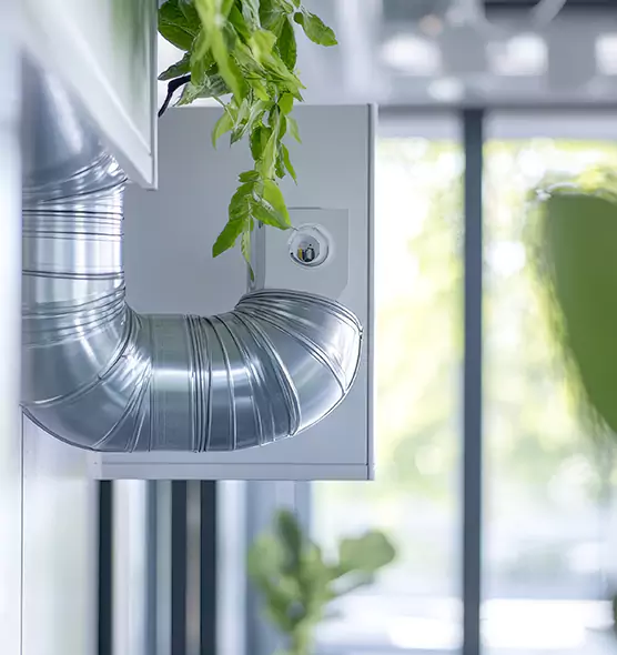 Professional Eco-Friendly Duct Cleaning Services in Auburn, WA