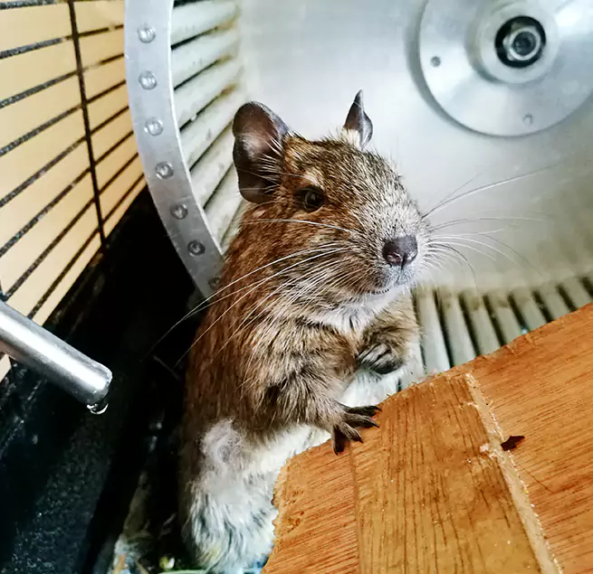 Why Homeowners & Businesses Trust Us Auburn, WA