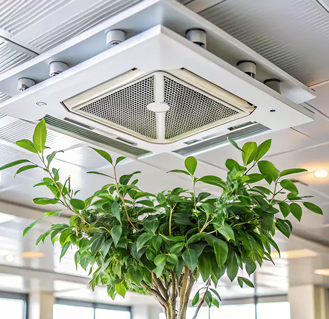 Why Homeowners & Businesses Trust Us in Auburn, WA?