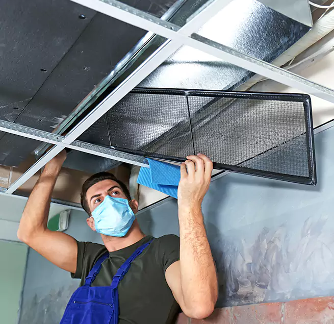 Why Homeowners Businesses Trust Us in Auburn, WA?