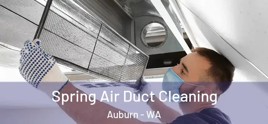Spring Air Duct Cleaning Auburn - WA