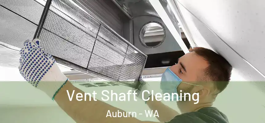 Vent Shaft Cleaning Auburn - WA